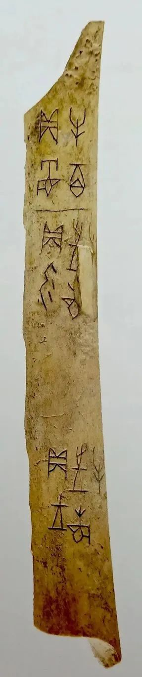 优美绝伦的甲骨文 崇真艺客