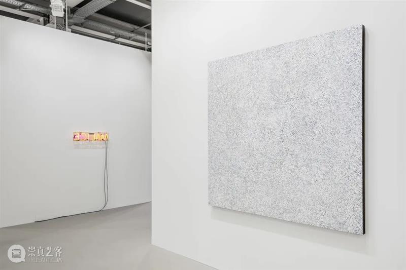 卓纳画廊｜2022年瑞士巴塞尔艺术展现场直击 崇真艺客