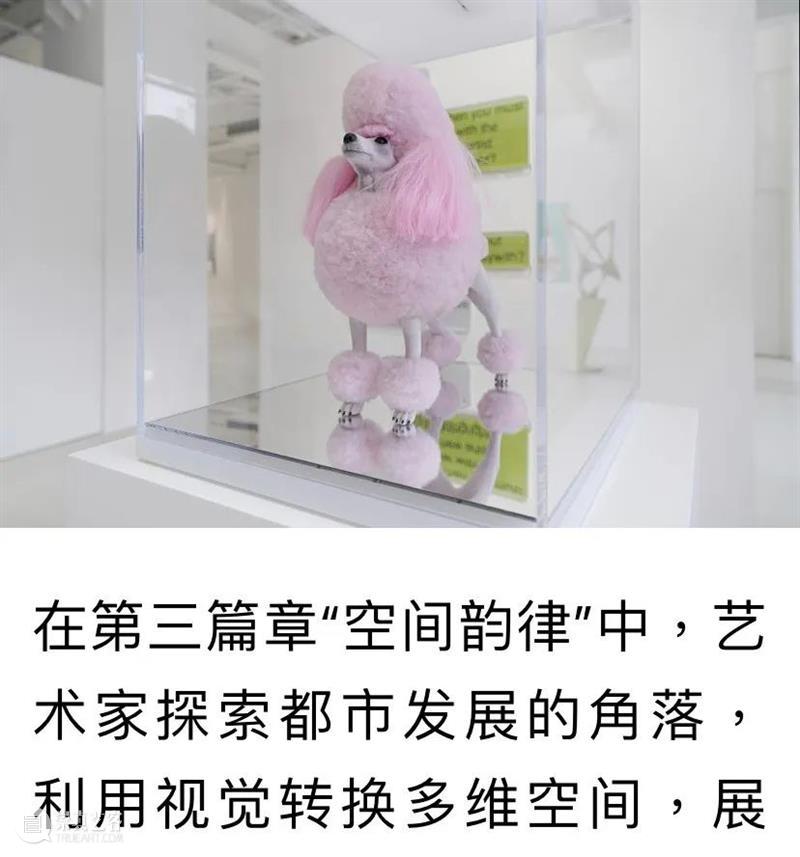 BlueriderDaily 媒体合輯3 蓝色多瑙河 崇真艺客