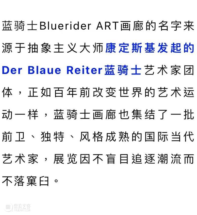 BlueriderDaily 媒体合輯3 蓝色多瑙河 崇真艺客