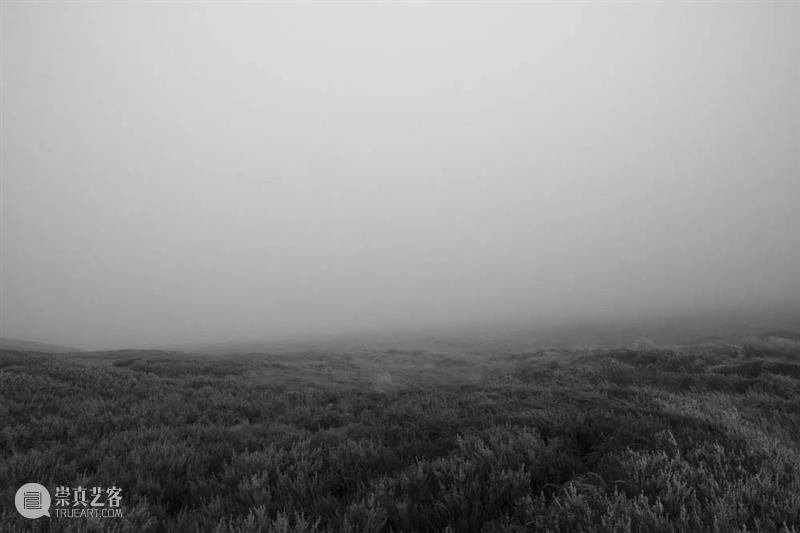 MIA分享 | 我希望能够激发更多关于女性身体不同的认知和值得关注的对话。 崇真艺客