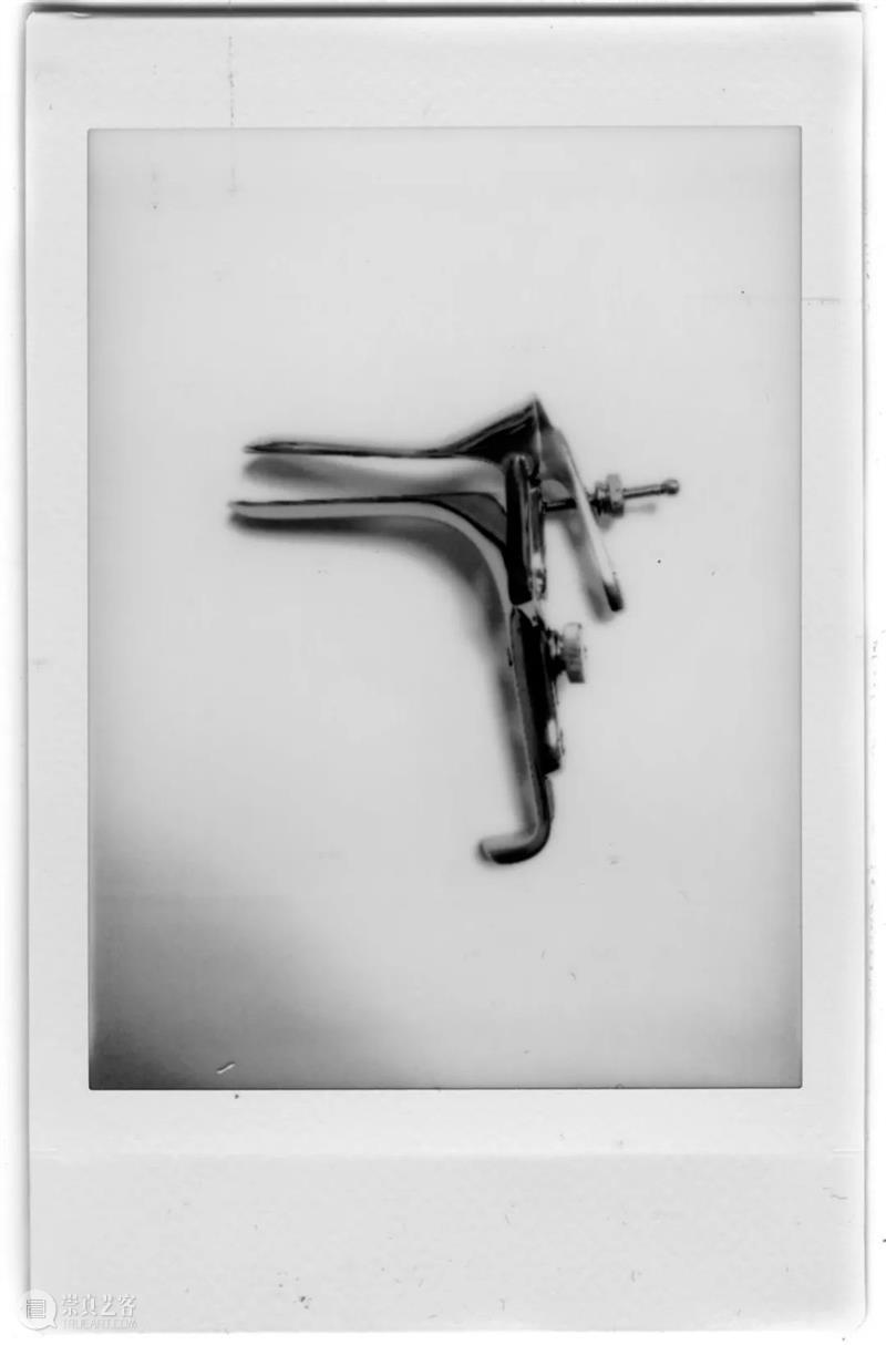 MIA分享 | 我希望能够激发更多关于女性身体不同的认知和值得关注的对话。 崇真艺客