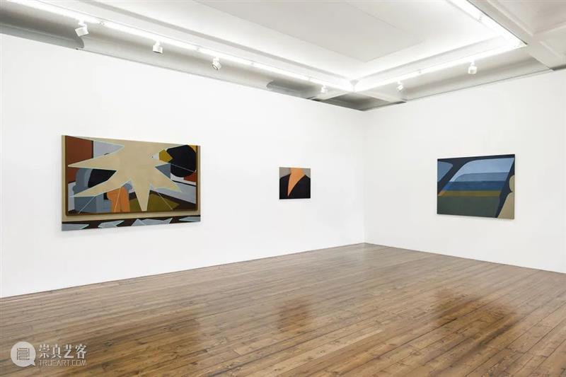 Sprüth Magers 伦敦 | 亨尼·阿尔夫坦（Henni Alftan）：轮廓 崇真艺客