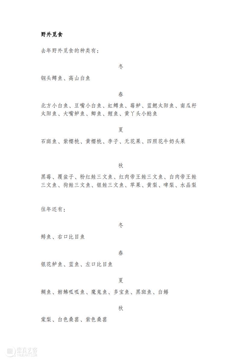 夏至,以艺术为名的“渔” 崇真艺客