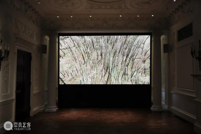 动态 | 没顶画廊艺术家近期展览现场与资讯 崇真艺客