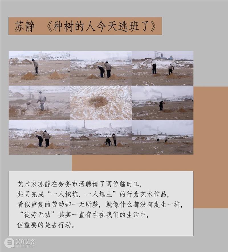 “种啥得啥”创意作品大赛获奖名单公布！ 崇真艺客
