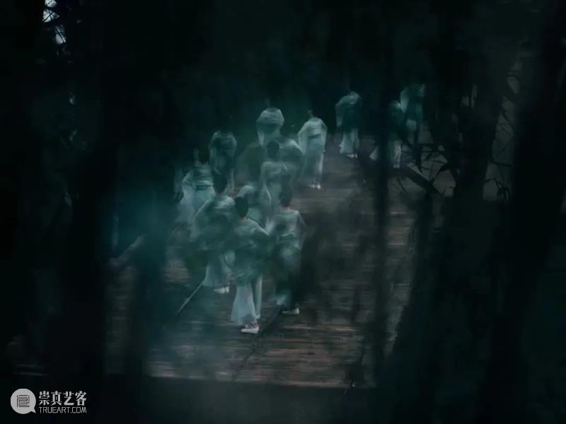 分享丨《王风·采葛》：国风舞蹈出圈背后的“爆款秘籍” 崇真艺客