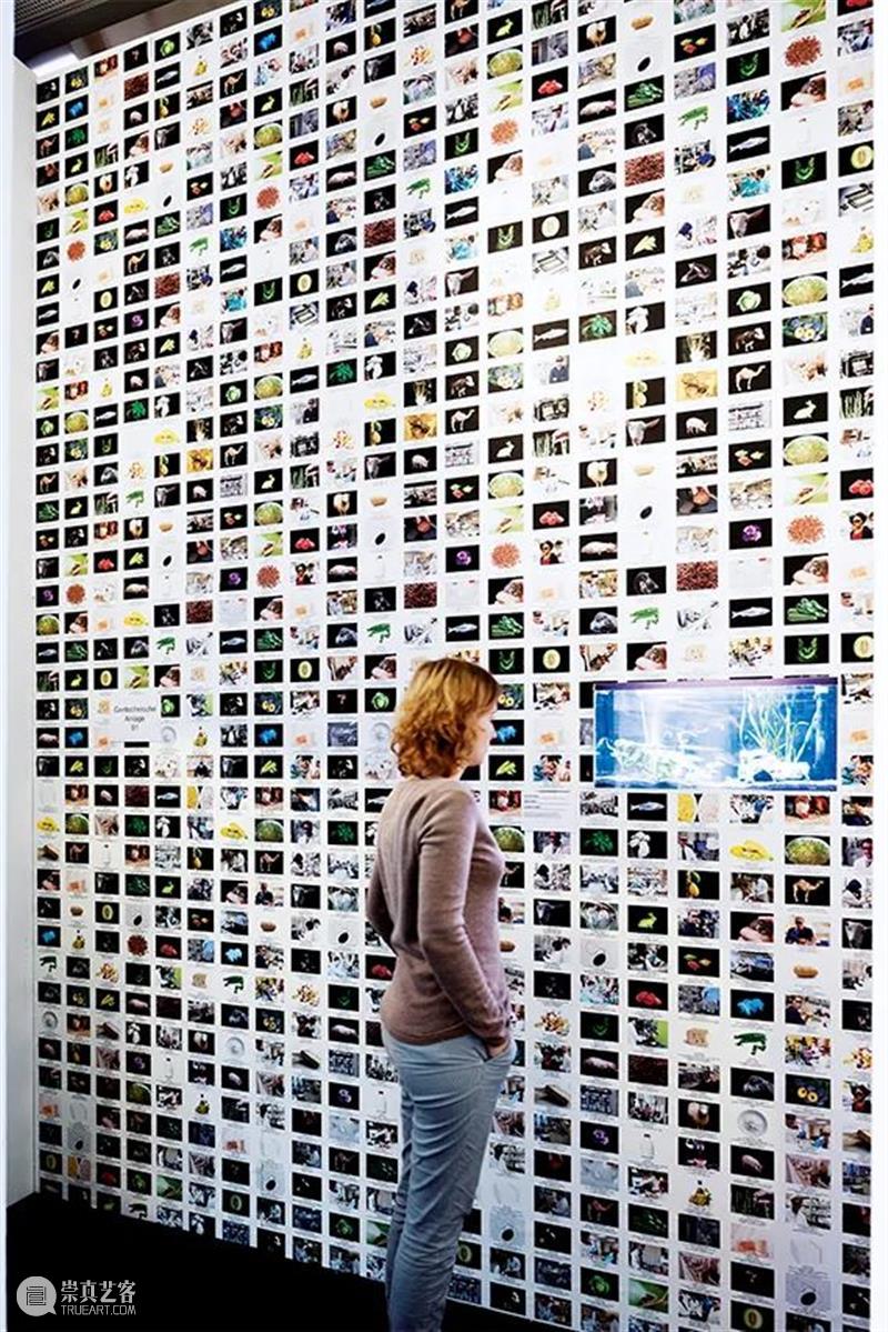 同行/交缠技术身体 | Lynn Hershman Leeson 视频资讯 徐震XuZhen 崇真艺客