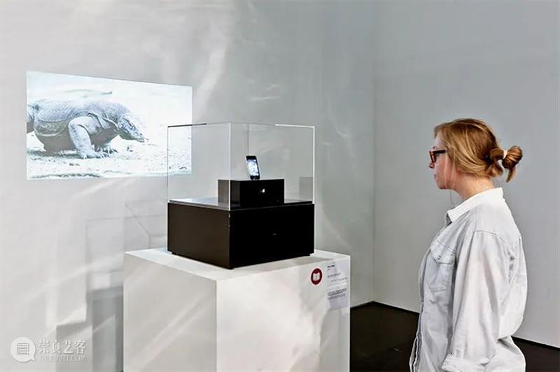 同行/交缠技术身体 | Lynn Hershman Leeson 视频资讯 徐震XuZhen 崇真艺客
