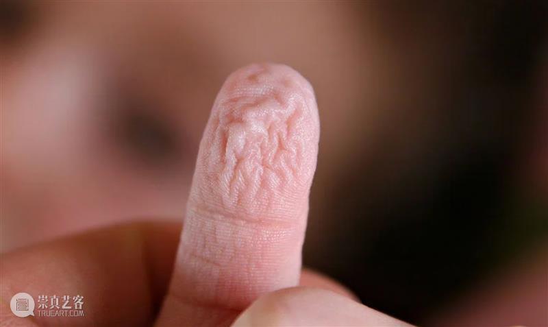 为何手指泡水会起皱？ 崇真艺客