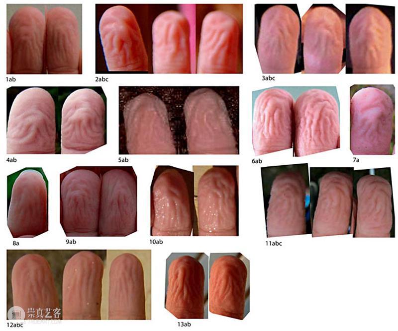 为何手指泡水会起皱？ 崇真艺客