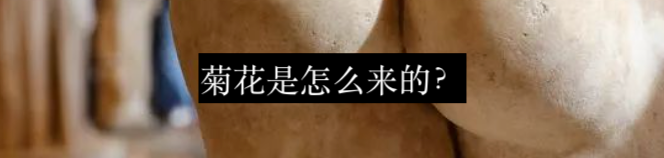 为何手指泡水会起皱？ 崇真艺客