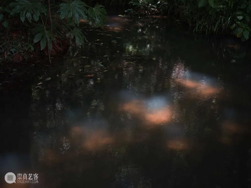 上海多伦现代美术馆恢复开放公告&新展预告 崇真艺客