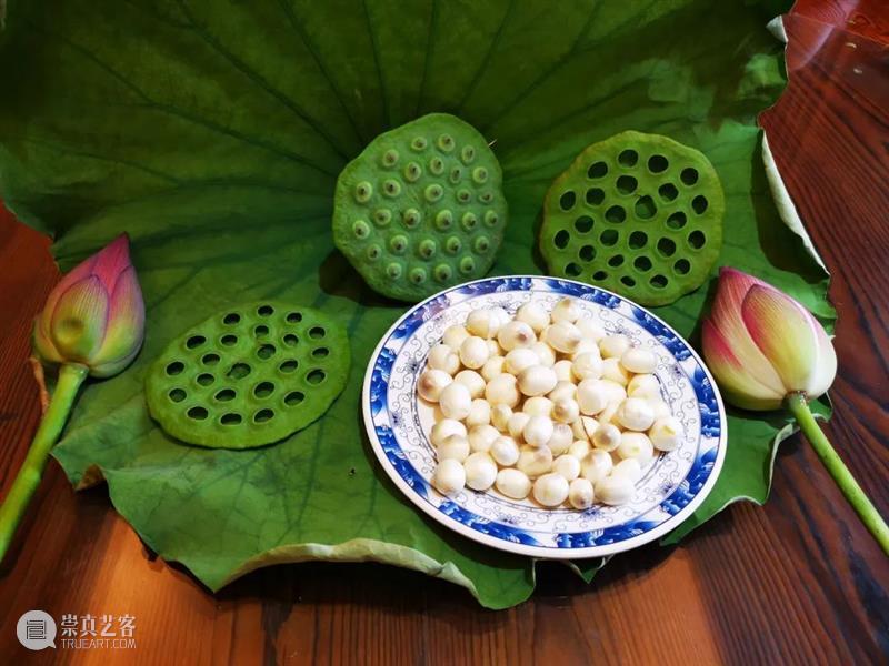 暑期杭州丨回归自然，在富春江畔寻找不一样的童年（7/16-7/23） 崇真艺客