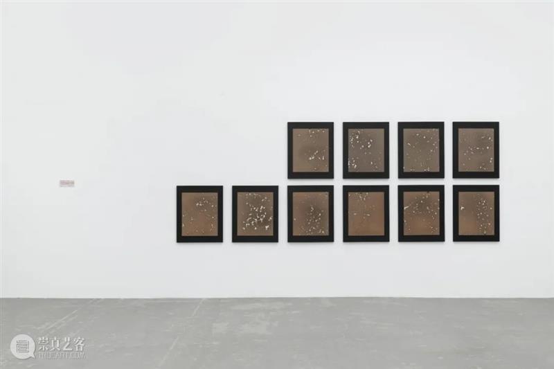 香格纳北京 | 《蹊径 1.0》展览作品聚焦 崇真艺客