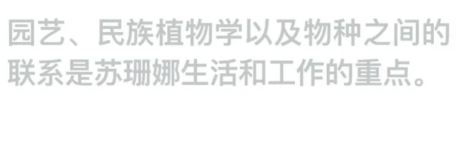 艺术家专访 | 苏珊娜·赫斯基：我们能否与地球共事？ 崇真艺客