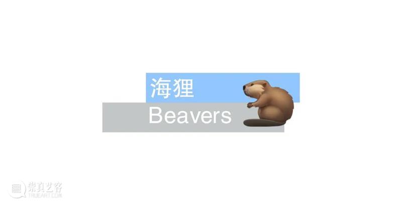 艺术家专访 | 苏珊娜·赫斯基：我们能否与地球共事？ 崇真艺客