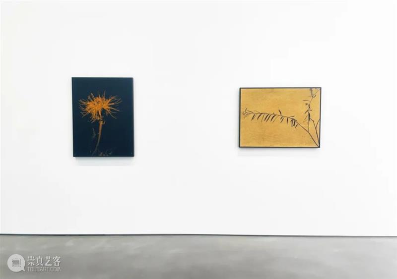 逸空间|指间之诗参展艺术家:孙小舟 崇真艺客