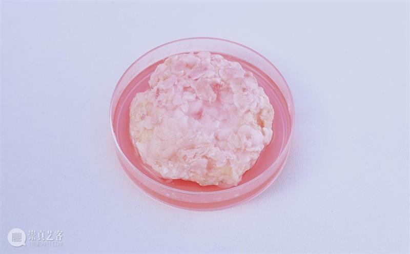 微展厅/实验艺术学院·本科生丨2022中央美院毕业季 崇真艺客