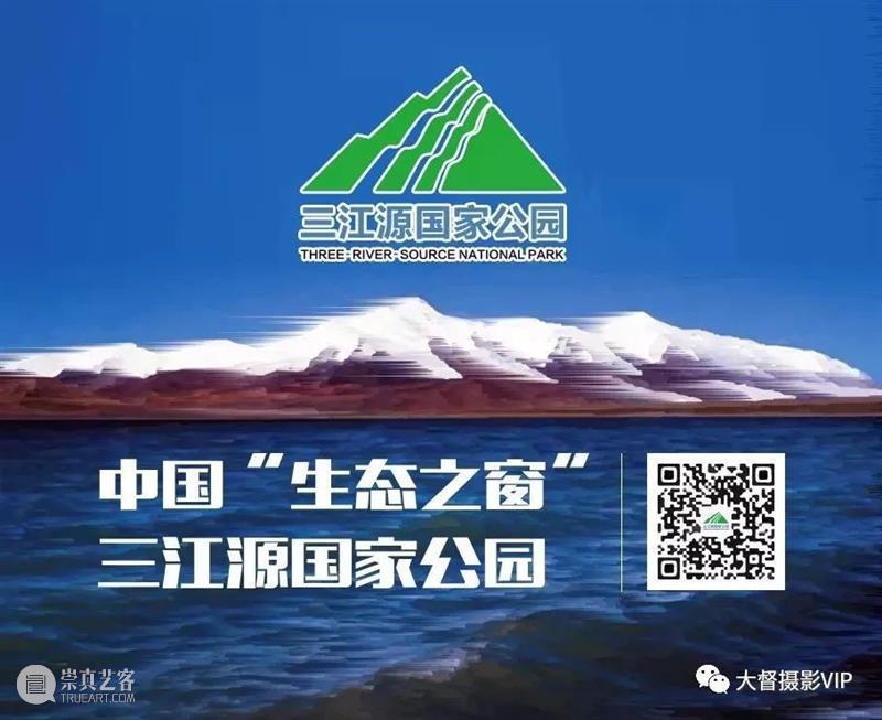 极简黑白摄影：美到极处，便成荒凉。 崇真艺客