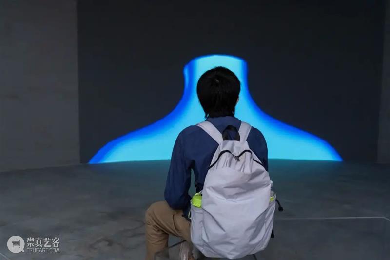 展览开幕｜周岩个展「欹梅」 崇真艺客