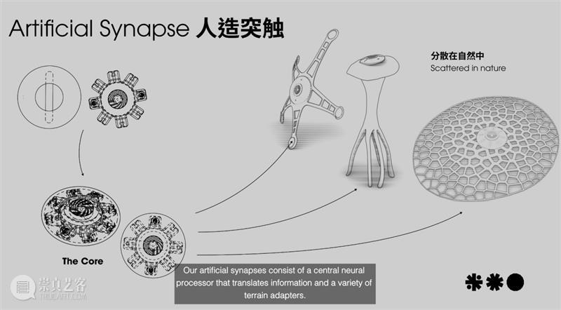 同济设创，首支获得全球生物设计挑战赛大奖中国代表队 崇真艺客