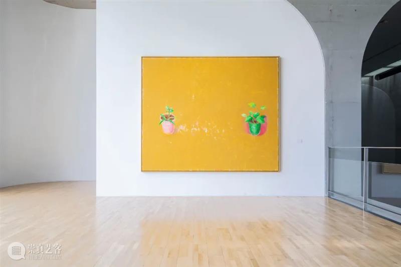 LONG公告 | 龙美术馆(西岸馆)一展厅临时关闭 崇真艺客