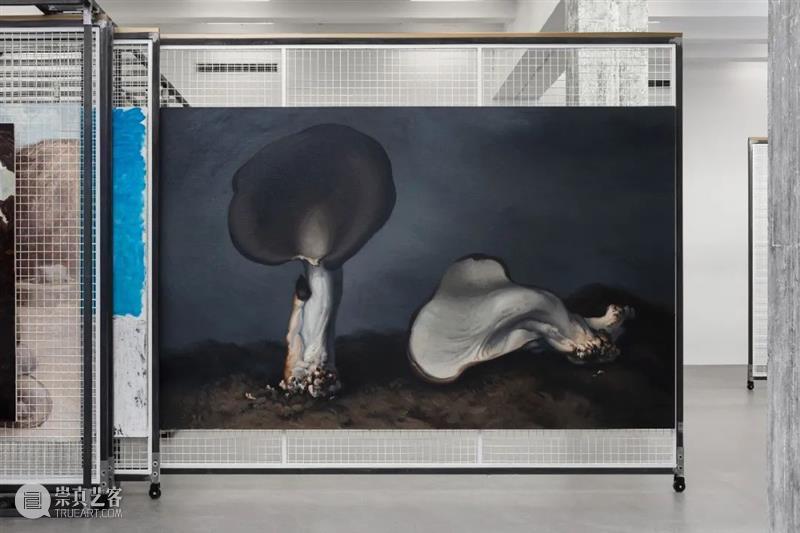 “贮藏（2022）”展览项目系列推送「艺术家」之（八）闫冰 崇真艺客