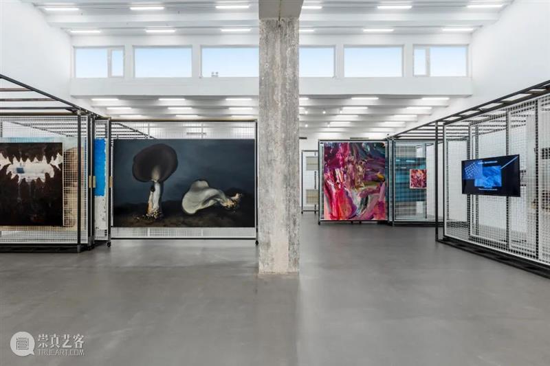 “贮藏（2022）”展览项目系列推送「艺术家」之（八）闫冰 崇真艺客