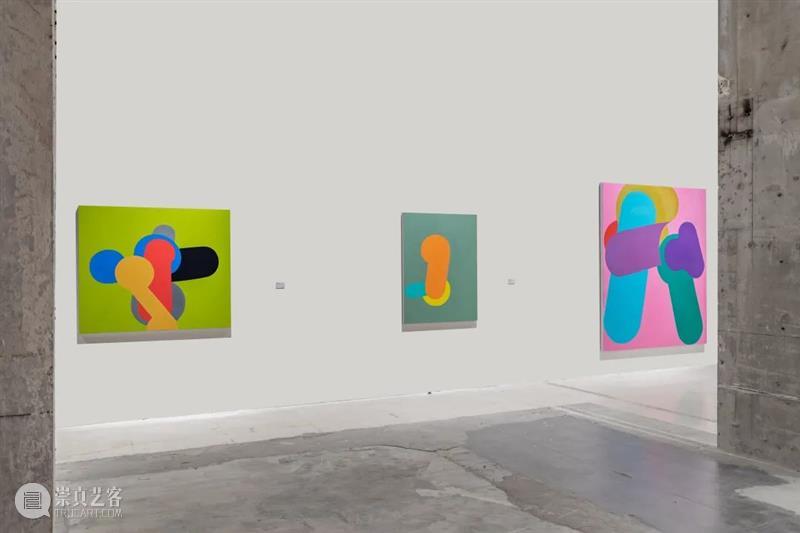 没顶画廊｜陈英访谈及个展开幕现场 崇真艺客