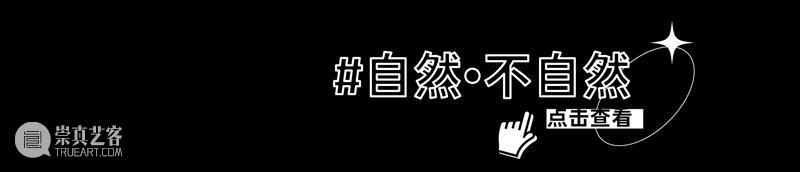 线上主题展｜云游：肉身与精神的游历 崇真艺客