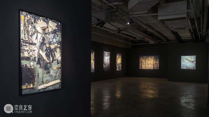 【明日开幕】张树光个展——显像的绽出 | 厦门 崇真艺客