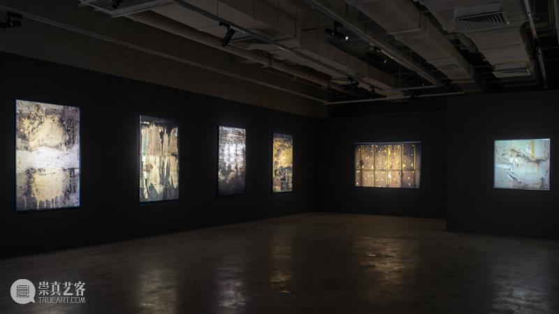 【明日开幕】张树光个展——显像的绽出 | 厦门 崇真艺客