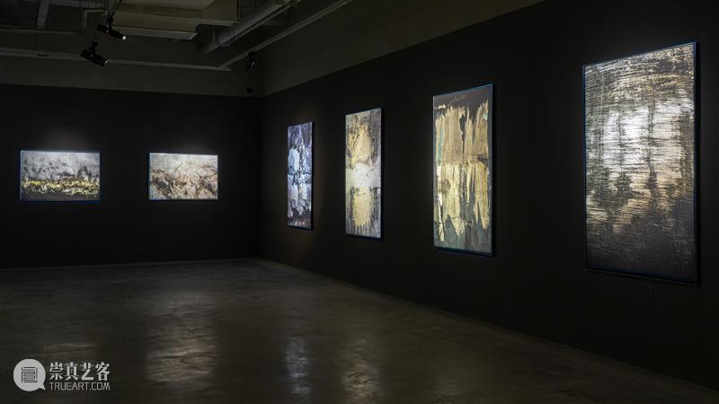 【明日开幕】张树光个展——显像的绽出 | 厦门 崇真艺客