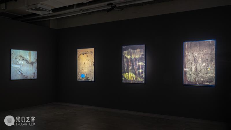 【明日开幕】张树光个展——显像的绽出 | 厦门 崇真艺客
