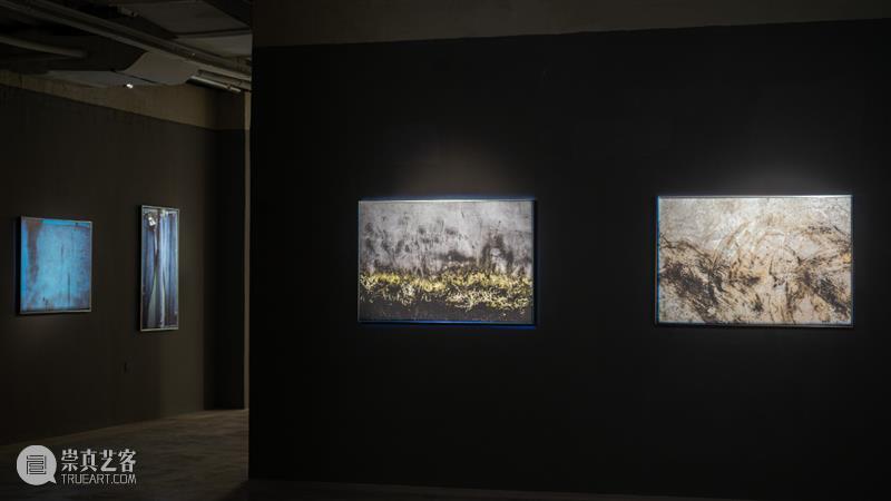 【明日开幕】张树光个展——显像的绽出 | 厦门 崇真艺客