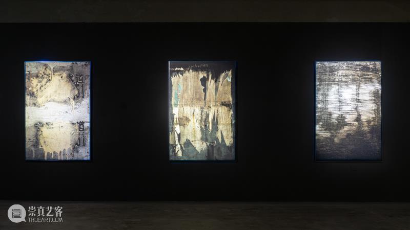 【明日开幕】张树光个展——显像的绽出 | 厦门 崇真艺客