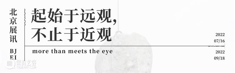 【明日开幕】张树光个展——显像的绽出 | 厦门 崇真艺客