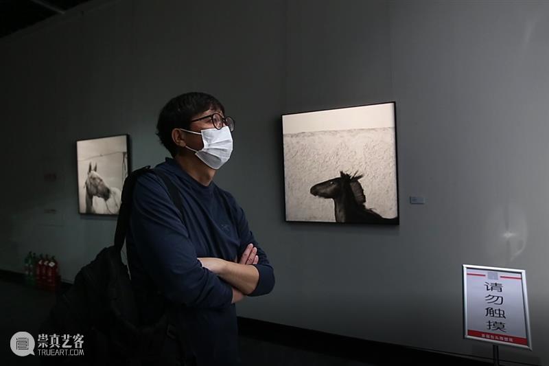《把远方的远归还草原》| 王争平摄影作品40年回顾展 崇真艺客