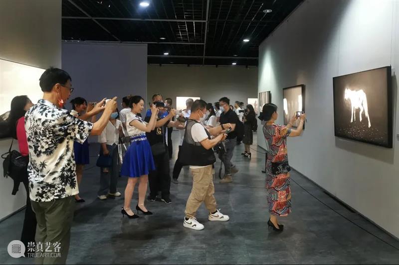 《把远方的远归还草原》| 王争平摄影作品40年回顾展 崇真艺客