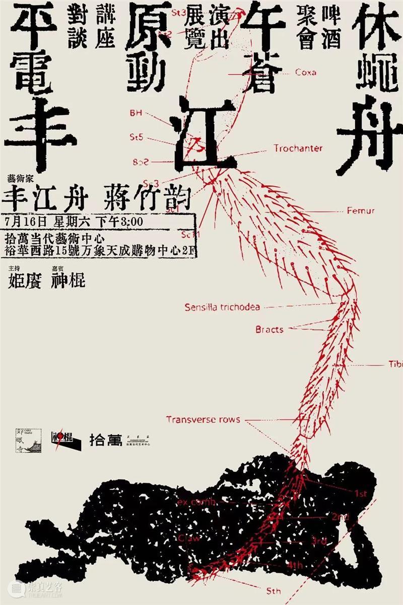 拾萬 Talks丨平原午休丨电动苍蝇：丰江舟对谈蒋竹韵 崇真艺客
