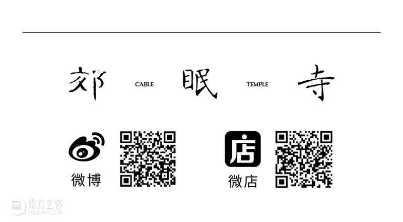 拾萬 Talks丨平原午休丨电动苍蝇：丰江舟对谈蒋竹韵 崇真艺客