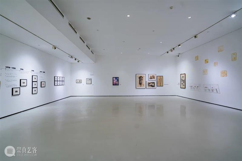 现场 | 冯星平的本土现代性探索研究展 崇真艺客
