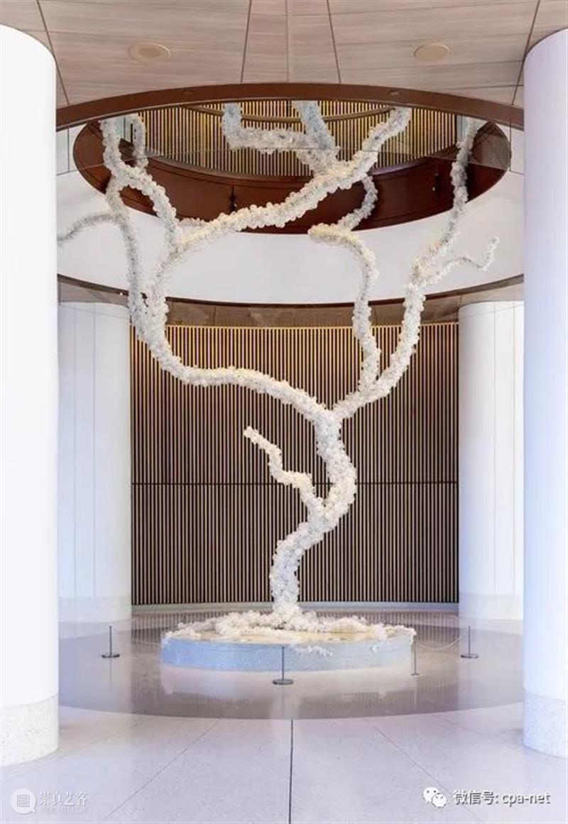 Maya Lin 庞大的装置中涟漪的水的珍贵 崇真艺客