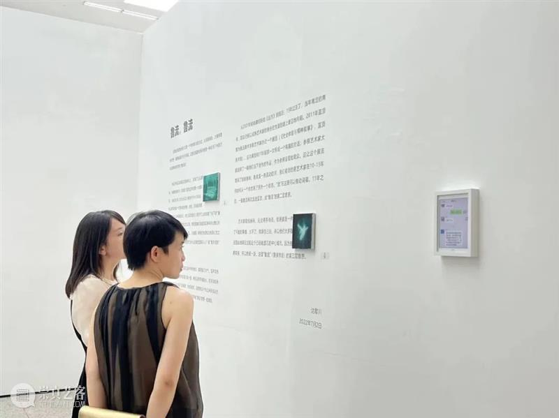 现场 | “鲁流,鲁流”展览在蓝顶美术馆盛大开幕! 崇真艺客