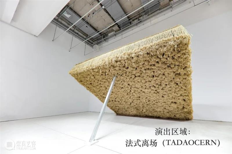 时代·戏剧预告| 美术馆来了几个“闯入者”？ 崇真艺客