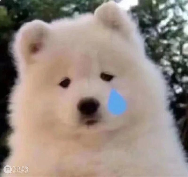 《孤儿怨》前传首曝预告；林家栋拍摄《潜行》时受伤 崇真艺客