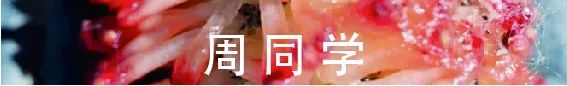MIA课程 |有一份适合你的留学作品集，请注意查收 崇真艺客