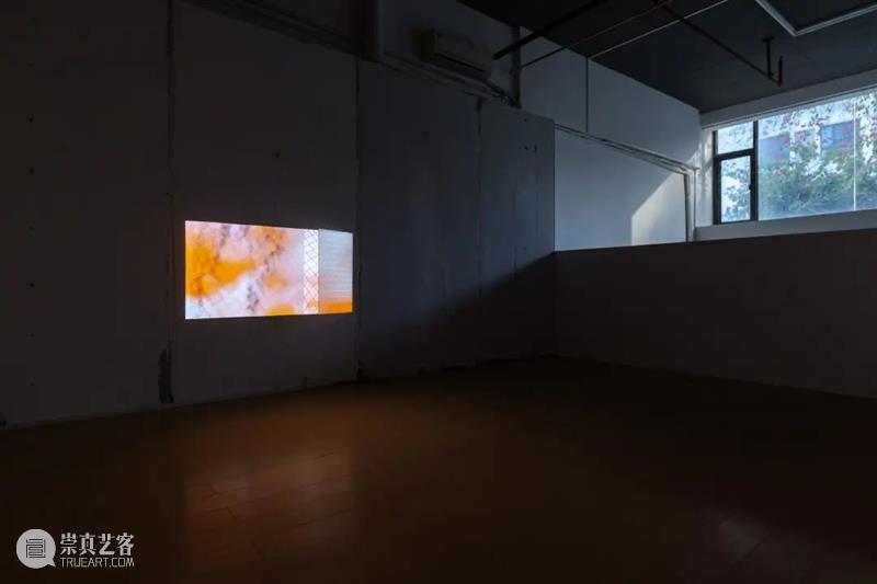 改造未来 | 第八届上海多伦青年美术大展入选艺术家名单&作品① 崇真艺客