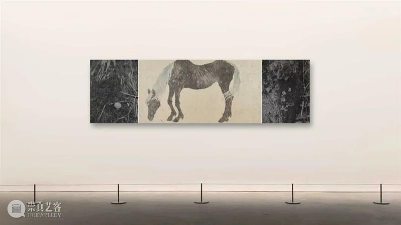 新展预告|谭军个展《观沙岭》将于7月23日北京索卡开幕! 崇真艺客